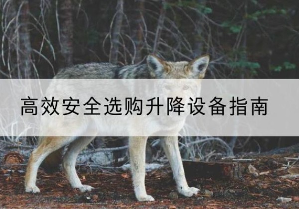 丽水升降货梯厂家推荐-*安全选购升降设备指南