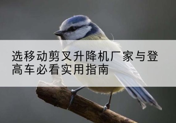 丽水电动升降机厂家-选移动剪叉升降机厂家与登高车必看实用指南