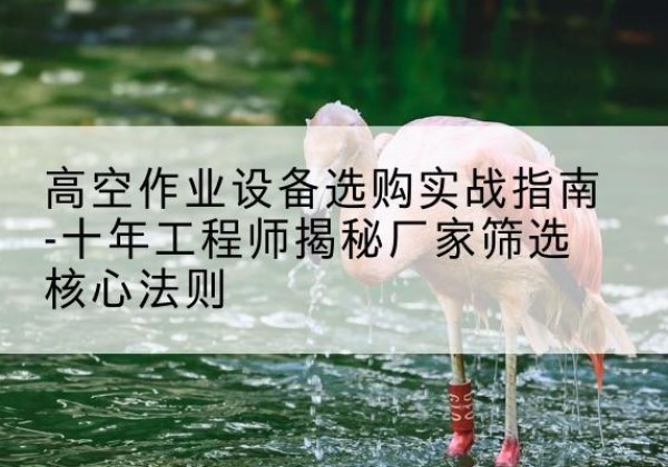 丽水剪叉式升降机厂家-高空作业设备选购实战指南-十年工程师揭秘厂家筛选核心法则